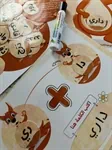 الكنغر القارئ 4