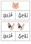 زوجي وفردي 3
