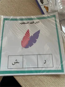 المد المفقود